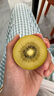 佳沛（zespri）新西兰 阳光金奇异果12粒礼盒特大果单果约122-146g 猕猴桃 水果 实拍图