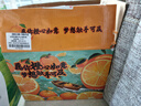 京觅 湖北秭归伦晚脐橙 5斤单果170g+ 新鲜水果生鲜甜橙子 源头直发 实拍图