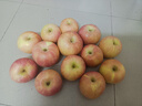 正宗新鲜苹果脆甜多汁水果整箱批发生鲜新鲜好吃当季应季生鲜特产 带箱2斤中果 实拍图