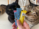 ERGOBABY宠物猫咪狗咳嗽窝咳猫咪平哮喘止咳化痰支气管炎肺炎氨茶碱片12片 实拍图
