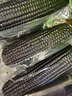 十月稻田 黑糯玉米1.76kg（220g*8根）东北紫玉米 花青素 杂粮礼盒 实拍图