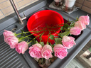 【玫瑰花】10枝装特价云南鲜花直发节日鲜花礼物花束家用水养插花 随机玫瑰10枝 实拍图