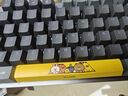 罗技（Logitech）K845机械键盘 有线键盘 办公电脑打字键盘 电竞游戏发光全尺寸个性化定制键帽卡皮巴拉 生日礼物 【K845露营之夜限定礼盒】青轴 实拍图