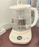小熊（Bear）养生壶 1.5L煮茶壶煮茶器 玻璃花茶壶 316不锈钢恒温水壶烧水壶电热水壶 YSH-E15M1 实拍图