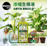 美乐棵植物生根液花肥肥料水培土培生根粉营养液通用型500ML 实拍图