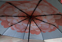 蕉下（beneunder）防紫外线遮阳伞三折双层黑胶晴雨伞防晒伞BM664花椿 实拍图