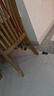 自带干粮的猫猫咪玩具逗猫棒仿真会叫小鸟玩具幼猫自嗨解闷神器耐抓咬宠物用品 实拍图