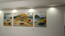 Sixpoetry 客厅装饰画现代简约沙发背景墙壁画轻奢三联晶瓷画大气高档挂画 福禄纳财（铝合金外框） 晶瓷画左右60*80+中间120*80亮面 实拍图