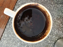 乐品乐茶金骏眉红茶正宗浓香蜜香型250g新茶特级嫩芽养胃茶叶散装 实拍图