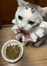 美士（Nutro）进口猫粮成猫高蛋白宠物鸡肉猫干粮14磅/6.35kg 实拍图
