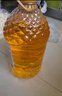 京觅零反式脂肪玉米胚芽油5L 非转基因压榨一级 富含植物甾醇 实拍图