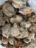 渔哥戏鱼大号扇贝肉40-60粒 大个特级扇贝肉新鲜冷冻粉丝扇贝鲜活冷冻 【大号扇贝 20-35粒/斤】 实拍图