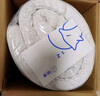 MLILY眯狸记忆棉床垫子床垫子1.5x2米榻榻米双人褥子乐梦 150*200*5cm 实拍图