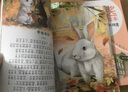 获奖名家经典绘本（全10册）一二年级小学生语文阅读课外书 儿童绘本适合6一8岁的故事书拼音图书   实拍图