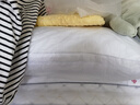 洁丽雅（Grace）枕头枕芯单人一对透气可水洗家用宿舍单人双人情侣枕成人男女 700G一对装74*48cm 实拍图