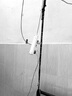 C咖祛痘双管洗面奶100g氨基酸控油净痘深层清洁洁面乳男女 实拍图