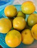 京鲜生湖北秭归纽荷尔脐橙4.5斤单果200g应季水果 源头直发 包邮 实拍图