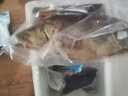 品鲜肴淡水鱼生态桂鱼鳜鱼鳌花鱼桂花季花鱼自然捕获鲜活现杀生鲜水产 净膛后1.8-1.9kg【4.5斤活杀预定 实拍图