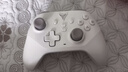 飞智沙漠狐 多模版无线游戏手柄 类xbox霍尔扳机switch电脑PC手机steamNS双影奇境 实拍图