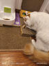憨憨乐园木天蓼猫咪磨牙棒猫玩具自嗨解闷逗猫棒耐咬幼猫用品玩具养猫神器 实拍图
