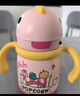 babycare儿童保温杯婴儿宝宝学饮吸管水杯水壶不锈钢保温杯上学450ml 实拍图