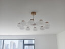 雷士（NVC）简约奶油原木法式泡芙灯罩客厅智能舒适光100W吊灯WHDD100F/G-05 实拍图