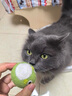 贵为（GiGwi）贵为猫玩具球猫咪自嗨解闷磨牙洁齿羊毛球4只装逗猫宠物玩具球 实拍图