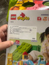 乐高(LEGO)积木拼装得宝10914豪华缤纷桶+10460绿色底板双组套 实拍图