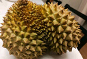 京鲜生 进口金枕头榴莲 净重3-4斤 1个装  鲜果 生鲜 新鲜水果 实拍图