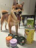 疯狂小狗 中大型幼犬成犬狗粮金毛专用全价粮20斤狗粮10kg 实拍图