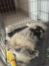 腆宠狗笼猫笼 狗笼子中小型犬带厕所幼犬狗窝猫笼子大号家用围栏兔笼 实拍图