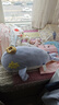 babycare婴儿玩偶安抚枕多功能哄睡枕侧睡靠背档枕沃伊鲸鱼45*23*15-0-1岁 实拍图