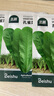 北蔬 孔雀菜种子苗生菜四季绿叶菜阳台种盆栽蔬菜种籽 孔雀菜种子10g 实拍图