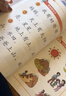 四五快读四五快数套装礼盒（共十五册＋教具，赠送配套音频和视频课程，识字数数一套搞定） 实拍图
