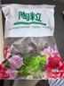 绿盼 大号颗粒陶粒5L花用垫底花盆保水园艺养花基质铺面回填填充材料 实拍图