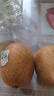 佳沛（zespri）绿奇异果 优选大果12粒单果约113-135g  水果 猕猴桃 实拍图