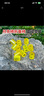 banq&JOY联名款 128GB TF（MicroSD）存储卡U3 C10 A1 V30 4K 高速款行车记录仪&监控摄像头手机内存卡 实拍图