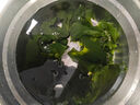 方家铺子中华老字号 裙带菜100g 烘干海带菜海产干货 凉拌煲汤 实拍图