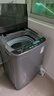美的（Midea）波轮洗衣机全自动家用 MB65V36E 6.5公斤 宿舍租房 迷你洗衣机小型 随心洗 以旧换新 家电国家补贴 实拍图
