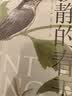 寂静的春天（校园经典彩绘版） 实拍图