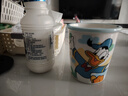 迪士尼正版陶瓷杯水杯冰淇淋杯蛋糕杯马克杯新款精致女生冷饮杯 大号唐老鸭 250ML 1个 实拍图