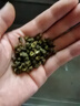 川珍青花椒110g江津九叶青一级特香特麻干藤麻椒火锅配料调料香辛料 实拍图