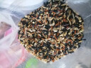 十月稻田 七色糙米 2.5kg 糙米 黑米 红米 燕麦米 杂粮粗粮 大米伴侣 5斤 实拍图