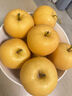 甜萌果蔬山东秋月梨 新鲜水果冰糖梨 送人送礼当季水果年货送礼盒 5斤精选果装【爆甜多汁】净重4.5斤 实拍图
