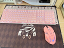 前行者X7S无线键盘鼠标套装真机械手感键盘可充电静音台式笔记本电脑电竞游戏办公打字通用蓝牙键鼠外设 粉色【白光】无线键鼠套装 实拍图