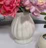 心楠法式陶瓷花瓶小高级感插花复古美式玫瑰客厅轻奢摆件白色奶油风 素白陶瓷花瓶【亮面款】 实拍图