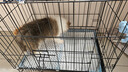 憨憨宠 狗笼猫笼 狗笼子小型犬带厕所幼犬折叠便携猫笼子宠物笼具兔笼 黑色 侧出盘狗丝笼 60*42*50cm 实拍图