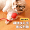 【京东快递】猫咪玩具自嗨解闷智能逗猫球自动逗猫遛猫遛狗突突球 奢华版【带绳款宠物球】 实拍图