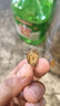 六和乾坤南京同仁堂 三通茶丹参黄芪山楂搭党参山楂黄芪片袋泡茶送长辈 实拍图