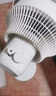 华凌美的【小暴风】白天鹅空气循环扇 家用电风扇大风量摇头轻音卧室台式落地扇节能空调扇WH-FGA2001 实拍图